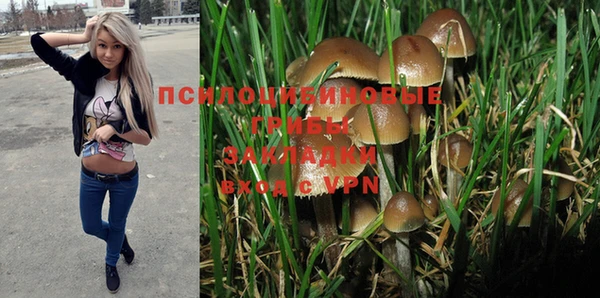 гашишное масло Ельня