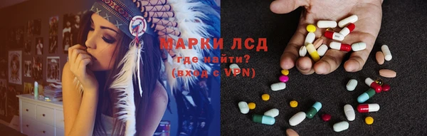 ГАЛЛЮЦИНОГЕННЫЕ ГРИБЫ Заволжье
