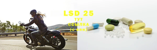 PSILOCYBIN Елизово