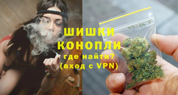 PSILOCYBIN Елизово