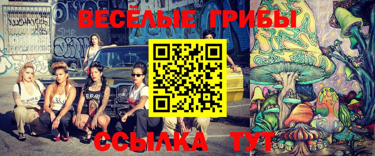 Псилоцибиновые грибы мицелий  Вход с VPN  Псилоцибиновые грибы мицелий  Братск 