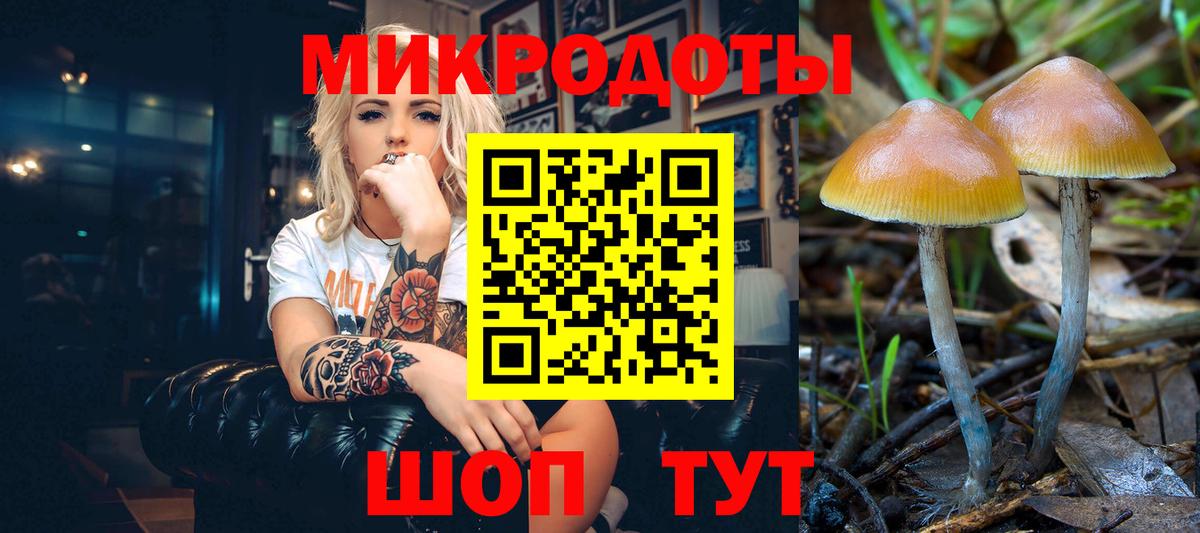 Галлюциногенные грибы GOLDEN TEACHER Братск