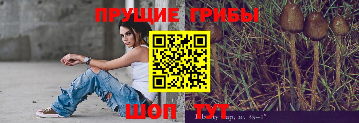 Галлюциногенные грибы Cubensis  Братск 