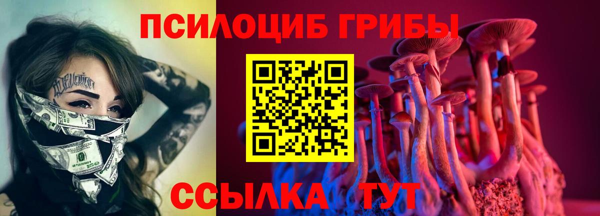 Галлюциногенные грибы Psilocybine cubensis Братск