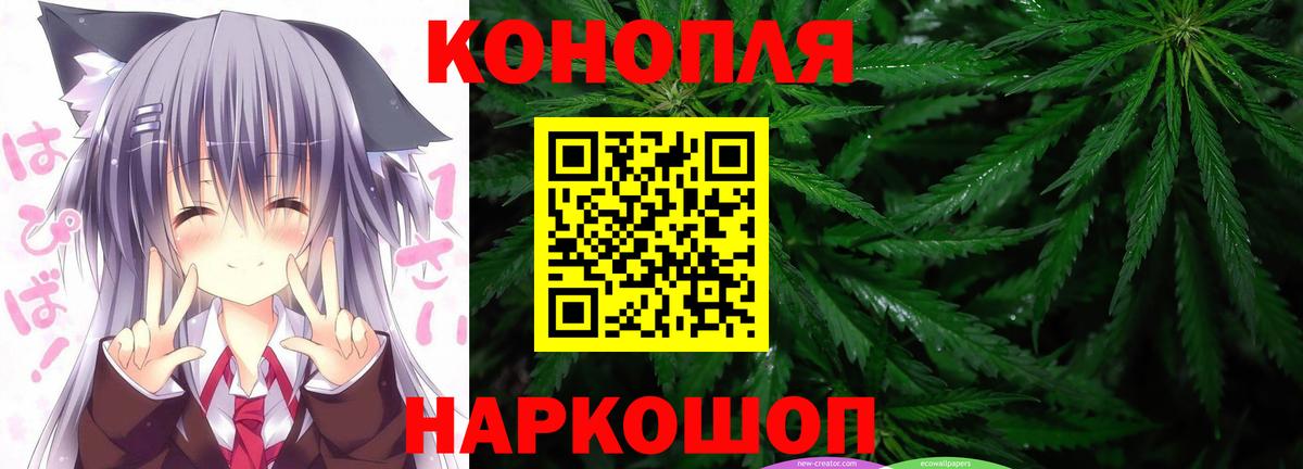 Марихуана сатива  Бошки марихуана семена  Братск  Вход с VPN  Канабис ГИДРОПОН  Каннабис White Widow 